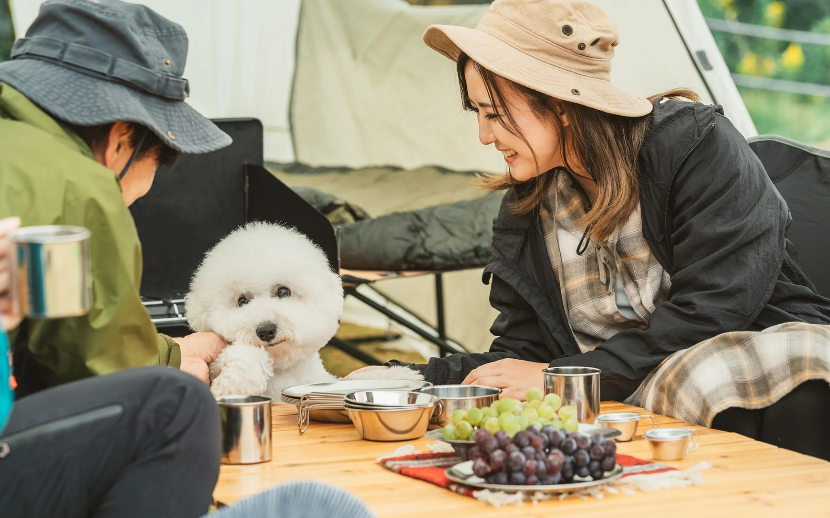 自然の中でくつろぐわんこ