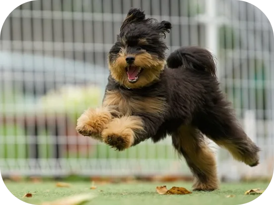 キャンプ中の食事シーン