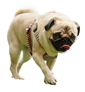 パグ