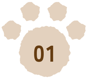 01