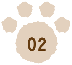 02