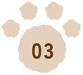 03