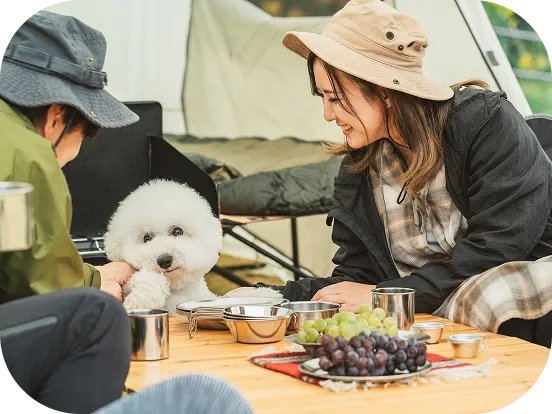 走る犬